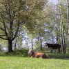 Jaro (18)